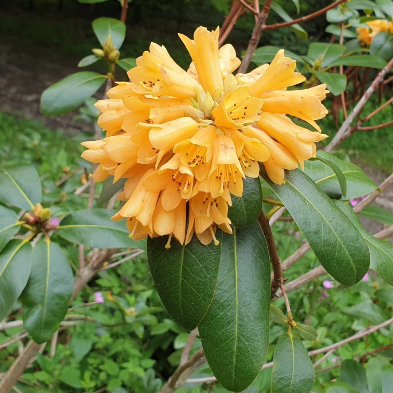 'Eddie Digby'